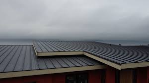 Best Solar Panel Roofing Installation  in Highfill, AR